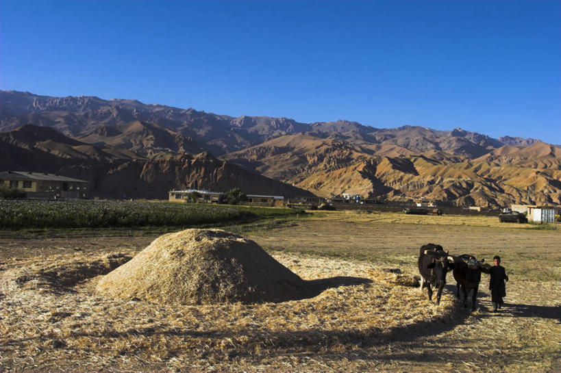 东方人,儿童,一个人,家,站,横图,俯视,室外,白天,旅游,度假,纯洁,石头,名胜古迹,山,山脉,标志建筑,地标,建筑,牛,阿富汗,亚洲,仅一个男性,仅一个人,阴影,服装,遗迹,光线,石子,影子,房屋,屋子,山峰,干草,山峦,注视,休闲装,黄种人,古迹,文物,娱乐,建设,古建筑,楼房,住宅,小孩,衣服,黄色,蓝色,蓝天,天空,阳光,动物,草垛,群山,天,扶,观察,看,站着,仅一个小孩,两只,享受,休闲,休闲服,旅游胜地,家畜,放松,可爱,童年,童趣,服饰,牲畜,晴朗,观看,察看,扶着,关注,西亚,童真,古文明,烂漫,无邪,万里无云,阿富汗伊斯兰国,干草垛,巴米扬,巴米扬大佛,巴米扬省,天真,男孩,男人,男性,亚洲人,孩子,石块,岩石,晴空,晴空万里,站立,彩图,高角度拍摄,全身,房子,男生