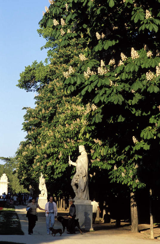 西方人,站,走,竖图,室外,白天,仰视,度假,美景,植物,城市风光,城市,宠物,狗,雕塑,西班牙,欧洲,欧洲人,行人,游客,游人,握,阴影,服装,艺术,装饰,光线,雕刻,雕像,影子,景观,板栗树,首都,许多人,拿,拿着,注视,休闲装,娱乐,路人,旅客,树,树木,衣服,蓝色,绿色,蓝天,天空,阳光,自然,动物,工艺品,天,观察,看,站着,两只,一群人,享受,休闲,休闲服,马德里,景色,放松,可爱,握着,服饰,生长,晴朗,成长,观看,纪念,美术,察看,关注,南欧,主题,陈列,忠诚,万里无云,西班牙王国,功能,美学,马德里自治区,栗树,过客,男人,男性,女人,女性,中年男性,中年女性,白种人,晴空,晴空万里,犬,步行,散步,站立,走路,半身,彩图,低角度拍摄,栗子树