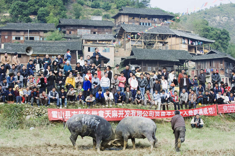 东方人,儿童,家,站,坐,横图,室外,白天,正面,旅游,度假,纯洁,斗牛,草地,草坪,美景,植物,牛,中国,亚洲,服装,标志,文字,字符,房屋,屋子,景观,横幅,许多人,注视,休闲装,黄种人,娱乐,标识,楼房,住宅,草,树,树木,小孩,衣服,绿色,自然,动物,观察,看,站着,一群人,享受,休闲,休闲服,汉字,家畜,景色,放松,可爱,童年,童趣,服饰,牲畜,生长,成长,观看,察看,关注,中文,自然风光,童真,东亚,烂漫,无邪,贵州,贵州省,中华人民共和国,黔,西南地区,国文,华文,天真,男孩,男人,男性,女孩,女人,女性,中年男性,中年女性,亚洲人,站立,坐着,彩图,全身,房子,男生,女生