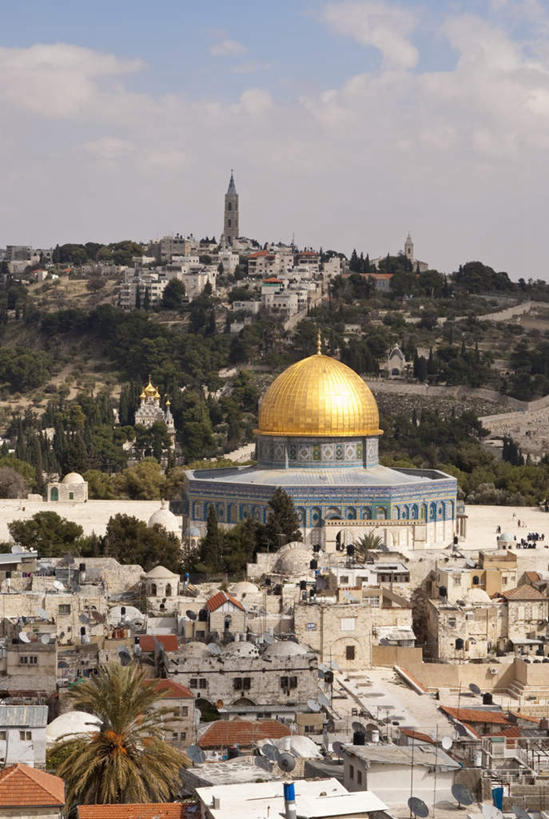 无人,家,竖图,俯视,航拍,室外,白天,旅游,度假,名胜古迹,植物,标志建筑,地标,建筑,棕榈树,叶子,巴勒斯坦,亚洲,阴影,节日,遗迹,光线,影子,房屋,屋子,云,云朵,绿叶,首都,云彩,古迹,文化,文物,娱乐,建设,古建筑,楼房,住宅,树,树木,蓝色,绿色,白云,蓝天,天空,阳光,自然,天,祈祷,享受,休闲,健康,嫩叶,旅游胜地,放松,许愿,宗教,信仰,生长,晴朗,成长,纪念,祈求,伊斯兰教,鸟瞰,清真寺,西亚,古文明,棕榈叶,巴勒斯坦国,耶路撒冷,岩石清真寺,圆顶清真寺,平安,叶,叶片,晴空,彩图,高角度拍摄,房子