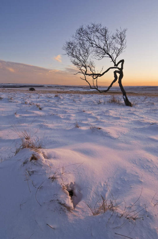 无人,竖图,室外,白天,正面,旅游,度假,美景,雪,植物,大雪,英国,欧洲,阴影,光线,影子,积雪,景观,雪景,冬季,冬天,娱乐,英格兰,树,树木,蓝色,绿色,蓝天,天空,阳光,自然,天,享受,休闲,景色,放松,寒冷,生长,晴朗,成长,西欧,自然风光,大不列颠,大不列颠及北爱尔兰联合王国,万里无云,严寒,大不列颠联合王国,日不落英帝国,英吉利,峰区国家公园,晴空,晴空万里,彩图