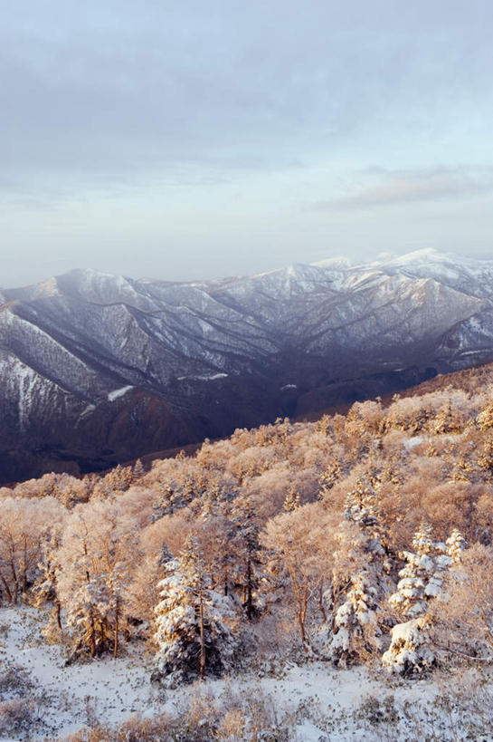 无人,公园,竖图,俯视,航拍,室外,白天,旅游,度假,美景,山,树林,雪,雪山,植物,大雪,秋田县,日本,亚洲,阴影,光线,影子,冰,积雪,景观,山峰,雪景,冬季,冬天,山峦,娱乐,树,树木,蓝色,绿色,蓝天,天空,阳光,自然,天,享受,休闲,景色,放松,寒冷,生长,晴朗,成长,冰冷,鸟瞰,自然风光,东亚,本州,万里无云,本州岛,日本国,秋田,岩手,岩手县,青森,青森县,东北地方,十和田八幡平国立公园,严寒,冰凉,酷寒,凛冽,凛凛,极冷,晴空,晴空万里,彩图,高角度拍摄