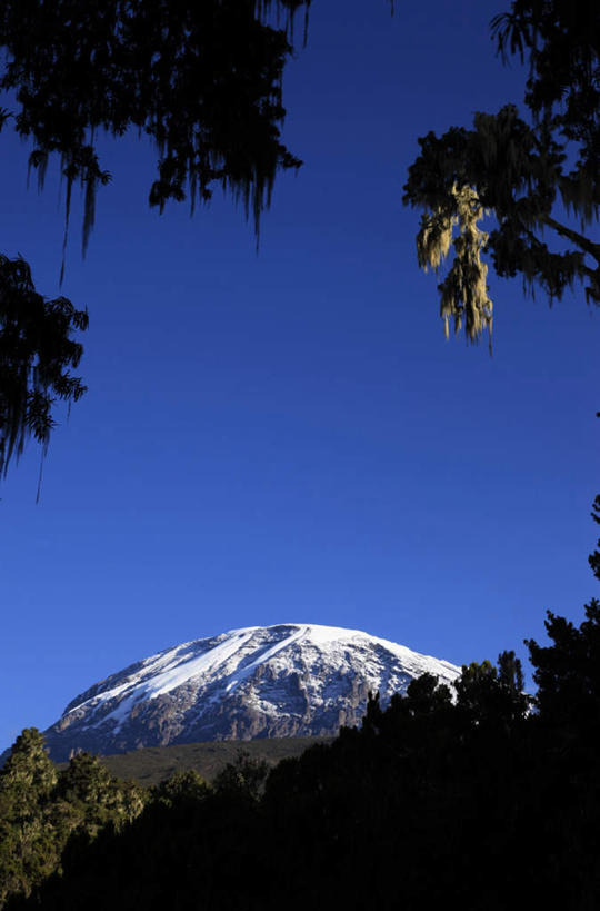 无人,竖图,室外,白天,仰视,旅游,度假,石头,美景,森林,山,树林,雪,雪山,植物,大雪,非洲,坦桑尼亚,阴影,光线,石子,影子,冰,积雪,景观,山顶,山峰,雪景,冬季,冬天,山峦,娱乐,树,树木,蓝色,绿色,蓝天,天空,阳光,自然,天,享受,休闲,景色,放松,寒冷,生长,晴朗,成长,冰冷,自然风光,万里无云,严寒,冰凉,酷寒,凛冽,凛凛,极冷,赤道雪峰,乞力马扎罗山,东非,非洲屋脊,坦桑尼亚联合共和国,颠峰,极峰,石块,岩石,晴空,晴空万里,彩图,低角度拍摄