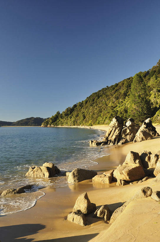 无人,公园,竖图,室外,白天,正面,旅游,度假,海浪,海洋,石头,美景,沙滩,树林,植物,新西兰,阴影,光线,沙子,石子,影子,海岸,景观,浪花,沙地,娱乐,树,树木,蓝色,绿色,蓝天,天空,阳光,自然,海水,天,享受,休闲,景色,放松,生长,晴朗,成长,国家公园,自然风光,大洋洲,海景,万里无云,纽西兰,长白云之乡,阿贝尔.塔斯曼国家公园,艾贝尔塔斯曼国家公园,新西兰南岛,亚伯塔斯曼国家公园,大海,风浪,海,海水的波动,海滩,近岸浪,石块,岩石,涌浪,晴空,晴空万里,彩图