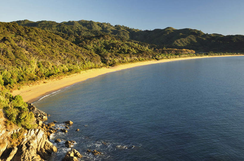 无人,公园,横图,俯视,室外,白天,旅游,度假,海浪,海洋,石头,美景,沙滩,树林,植物,新西兰,阴影,光线,沙子,石子,影子,海岸,景观,浪花,沙地,娱乐,树,树木,蓝色,绿色,蓝天,天空,阳光,自然,海水,天,享受,休闲,景色,放松,生长,晴朗,成长,国家公园,自然风光,大洋洲,海景,万里无云,纽西兰,长白云之乡,阿贝尔.塔斯曼国家公园,艾贝尔塔斯曼国家公园,新西兰南岛,亚伯塔斯曼国家公园,大海,风浪,海,海水的波动,海滩,近岸浪,石块,岩石,涌浪,晴空,晴空万里,彩图,高角度拍摄