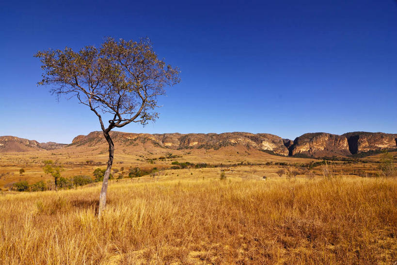 无人,横图,室外,白天,正面,旅游,度假,草地,草坪,石头,美景,山,山脉,植物,非洲,马达加斯加,阴影,光线,石子,影子,景观,山峰,山峦,娱乐,草,树,树木,蓝色,绿色,蓝天,天空,阳光,自然,群山,天,享受,休闲,景色,放松,生长,晴朗,成长,自然风光,万里无云,马达加斯加共和国,图利亚拉,图利亚拉省,石块,岩石,晴空,晴空万里,彩图