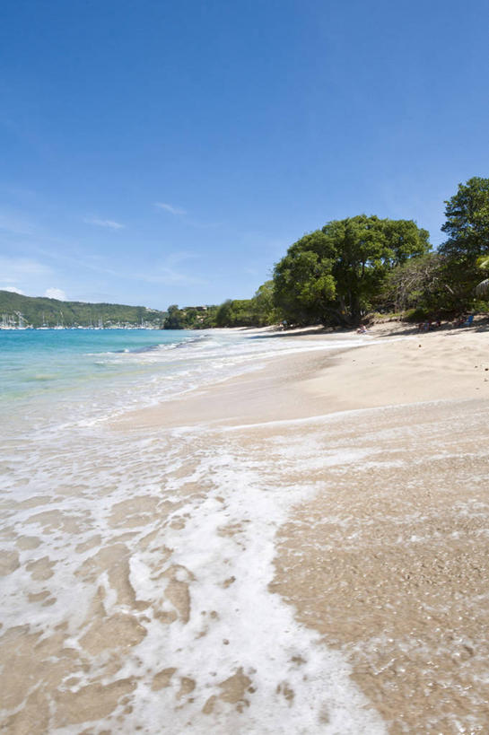 无人,竖图,室外,白天,正面,旅游,度假,海浪,海洋,美景,沙滩,树林,植物,阴影,飞溅,溅,光线,沙子,液体,影子,海岸,海面,景观,浪花,水滴,沙地,娱乐,水珠,树,树木,蓝色,绿色,蓝天,天空,阳光,自然,海水,天,享受,休闲,景色,南美,放松,生长,晴朗,成长,涨潮,碰撞,南美洲,西印度群岛,拉丁美洲,喷洒,自然风光,美洲,海景,海潮,万里无云,亚美利加洲,南亚美利加洲,潮水,潮汐,落潮,格林纳丁斯,圣文森特,贝基亚岛,大海,风浪,海,海水的波动,海滩,近岸浪,涌浪,晴空,晴空万里,彩图