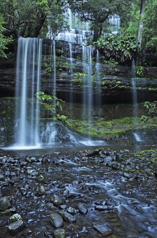 无人,公园,竖图,室外,白天,正面,旅游,度假,草地,草坪,河流,石头,美景,瀑布,水,植物,澳大利亚,阴影,飞溅,溅,光线,石子,液体,影子,河水,景观,水滴,水流,娱乐,水珠,草,树,树木,绿色,小溪,阳光,自然,溪水,享受,休闲,景色,放松,生长,成长,国家公园,喷洒,自然风光,大洋洲,塔斯马尼亚,澳洲,沉积岩,南方大陆,澳大利亚联邦,塔斯马尼亚州,水成岩,菲欣纳国家公园,跌水,石块,岩石,彩图