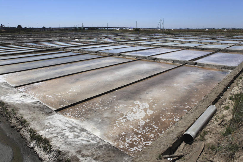 无人,农田,横图,室外,白天,正面,旅游,度假,庄稼,农作物,美景,葡萄牙,欧洲,阴影,光线,纹路,纹理,影子,地平线,景观,辽阔,地面,娱乐,科英布拉,蓝色,蓝天,天空,阳光,自然,天,享受,休闲,广阔,景色,放松,晴朗,一望无际,南欧,自然风光,延伸,万里无云,肌理,天地相交,葡萄牙共和国,无边无际,一马平川,晴空,晴空万里,彩图,耕地,庄稼田