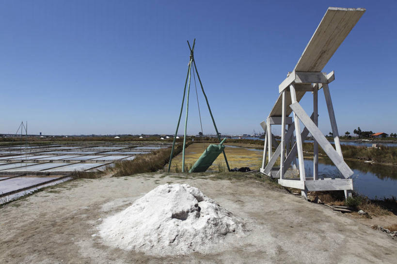 无人,农田,横图,室外,白天,正面,旅游,度假,庄稼,农作物,美景,葡萄牙,欧洲,一堆,阴影,堆叠,堆积,光线,影子,支架,地平线,景观,辽阔,地面,娱乐,科英布拉,架子,脚手架,施工,蓝色,蓝天,天空,阳光,自然,天,享受,休闲,广阔,景色,放松,晴朗,堆,一望无际,支撑,固定,南欧,自然风光,延伸,万里无云,天地相交,葡萄牙共和国,无边无际,一马平川,晴空,晴空万里,彩图,耕地,庄稼田,稳固