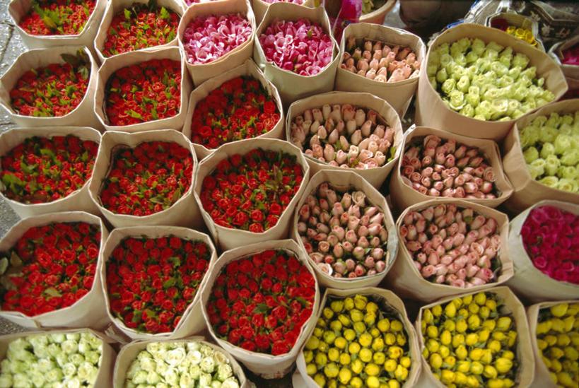 无人,商店,横图,俯视,室外,特写,白天,爱情,购物,幸福,纯洁,热情,消费,超市,玫瑰,袋子,一排,许多,整齐,装饰,并列,并排,盛开,玫瑰花,很多,浪漫,花蕾,麻袋,花,花瓣,花朵,鲜花,排列,粉色,黄色,红色,容器,花苞,花蕊,温暖,温馨,恩爱,金融,百货,便利店,储藏,华丽,修饰,点缀,和睦,储存,队列,感动,平行,选购,贸易,衬托,美观,雅致,雅观,血拼,尊敬,零售店,天真,刺玫花,徘徊花,彩图,高角度拍摄,店铺,杂货店,杂货铺,融洽,贮存