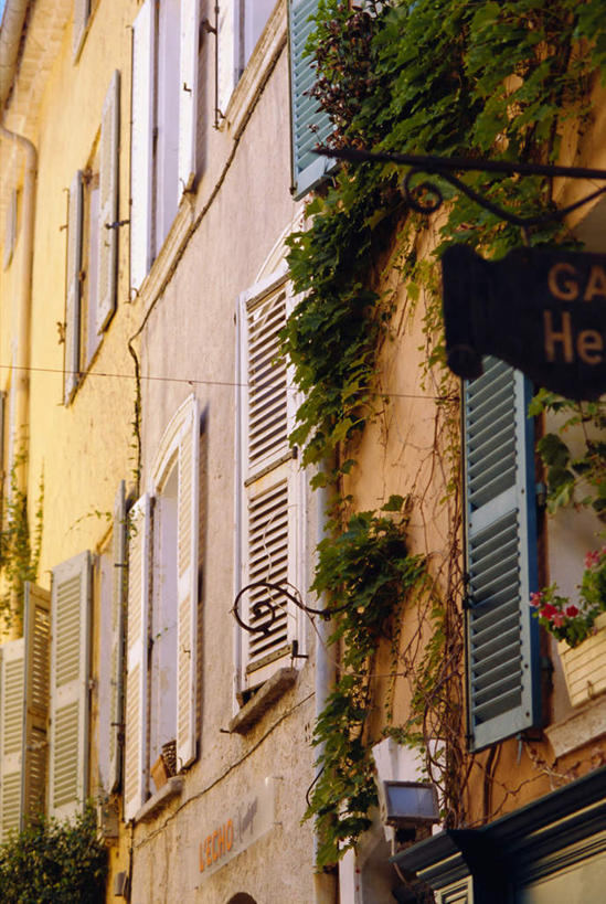 无人,家,竖图,室外,特写,白天,正面,度假,美景,植物,窗户,城市风光,城市,法国,欧洲,一排,阴影,整齐,并列,并排,光线,影子,房屋,屋子,景观,公寓,常春藤,爬山虎,草药,娱乐,洋房,楼房,中药,玻璃窗,住宅,排列,阳光,享受,休闲,景色,放松,队列,药材,中草药,平行,爬墙虎,瓦尔省,中药材,本草,法兰西共和国,地锦,趴山虎,巴山虎,法兰西第五共和国,普罗旺斯.阿尔卑斯.蓝色海岸,普罗旺斯.阿尔卑斯.蓝色海岸大区,瓦尔,彩图,房子,常青藤