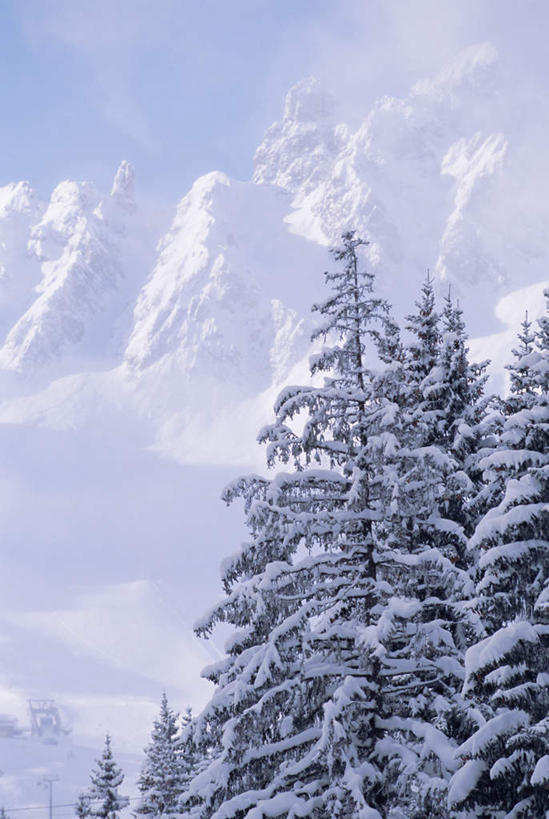 无人,竖图,室外,白天,正面,美景,山,雪,雪山,植物,雾,大雪,法国,欧洲,朦胧,模糊,冰,积雪,景观,山峰,雪景,冬季,冬天,山峦,树,树木,绿色,自然,景色,寒冷,生长,成长,迷雾,冰冷,西欧,法兰西,自然风光,法兰西共和国,法兰西第五共和国,严寒,冰凉,酷寒,凛冽,凛凛,极冷,上萨瓦省,上萨瓦,大雾,彩图,罗讷.阿尔卑斯,罗讷.阿尔卑斯大区