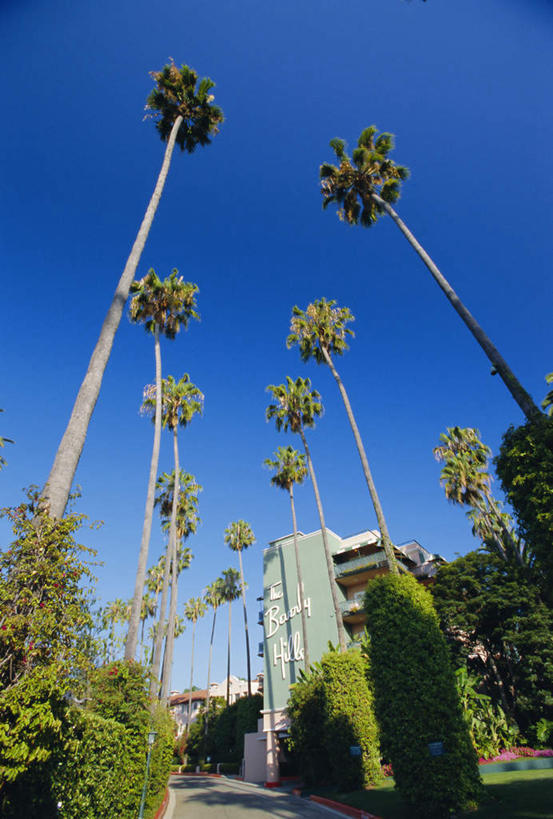 无人,家,竖图,室外,白天,仰视,度假,美景,植物,城市风光,城市,道路,酒店,路,棕榈树,叶子,美国,一排,阴影,整齐,光线,影子,房屋,屋子,景观,小路,绿叶,交通,娱乐,楼房,住宅,树,树木,排列,蓝色,绿色,蓝天,天空,阳光,自然,天,享受,休闲,嫩叶,景色,放松,生长,晴朗,成长,北美,北美洲,队列,加利福尼亚,美洲,棕榈叶,加州,洛杉矶,加利福尼亚州,万里无云,金州,黄金州,比佛利山庄,北亚美利加洲,亚美利加洲,贝弗利山,比华利山,天使之城,贝弗利山庄,比弗利山庄,叶,叶片,晴空,晴空万里,彩图,低角度拍摄,房子,旅店,美利坚合众国