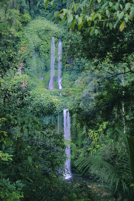 无人,竖图,俯视,室外,白天,旅游,度假,草地,草坪,美景,瀑布,山,山脉,水,植物,印度尼西亚,印尼,亚洲,阴影,飞溅,溅,光线,液体,影子,景观,山峰,水滴,悬崖,山峦,娱乐,水珠,草,树,树木,绿色,自然,群山,享受,休闲,景色,放松,东南亚,生长,成长,喷洒,自然风光,印度尼西亚共和国,龙目岛,西努沙登加拉省,跌水,彩图,高角度拍摄