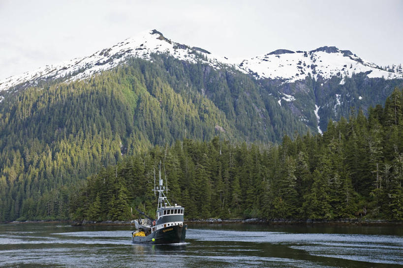 无人,横图,室外,白天,海洋,森林,山,美国,地形,渔船,摄影,巴拉诺夫岛,彩图,旅行