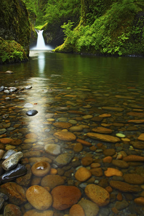 无人,竖图,室外,白天,瀑布,峡谷,美国,地形,苔藓,小溪,地标建筑,摄影,清新,俄勒冈州,哥伦比亚河谷,地质学,岩石,彩图
