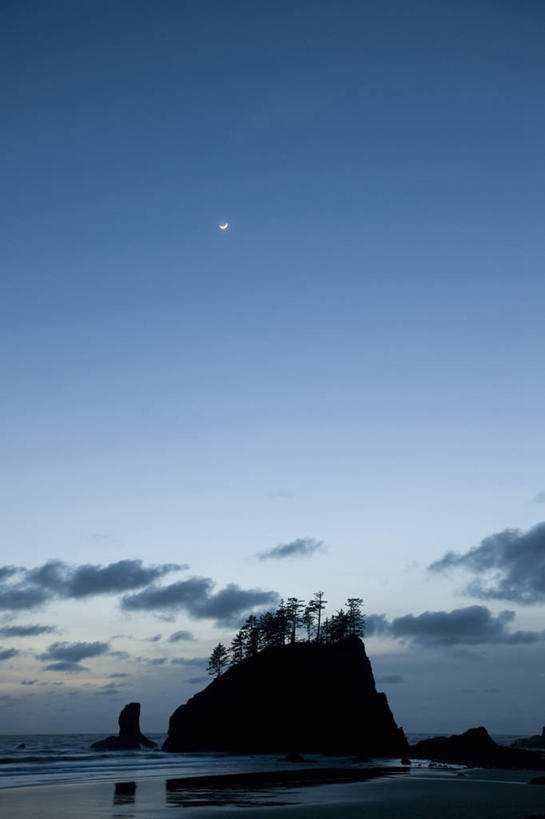 无人,公园,竖图,室外,夜晚,留白,海洋,美景,华盛顿,美国,地形,海岸线,景观,月亮,树,蓝色,自然,黄昏,景色,摄影,环境,太平洋,北美,北美洲,国家公园,自然风光,美洲,华盛顿州,奥林匹克国家公园,常绿之州,常青州,北亚美利加洲,亚美利加洲,奥林匹克半岛,奥林匹克山脉,海滩,岩石,彩图,美利坚合众国