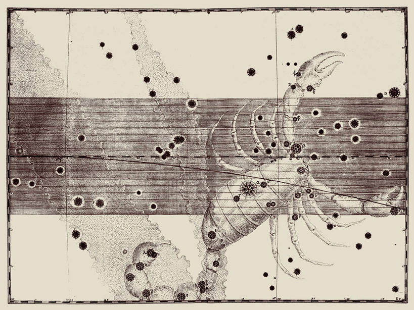无人,横图,地图,艺术,科学,星星,摄影,星座,天文学,天蝎座,彩图,雕刻术