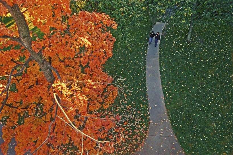 两个人,横图,俯视,室外,白天,叶子,美国,人行道,树,摄影,马萨诸塞,秋天,彩图,高角度拍摄