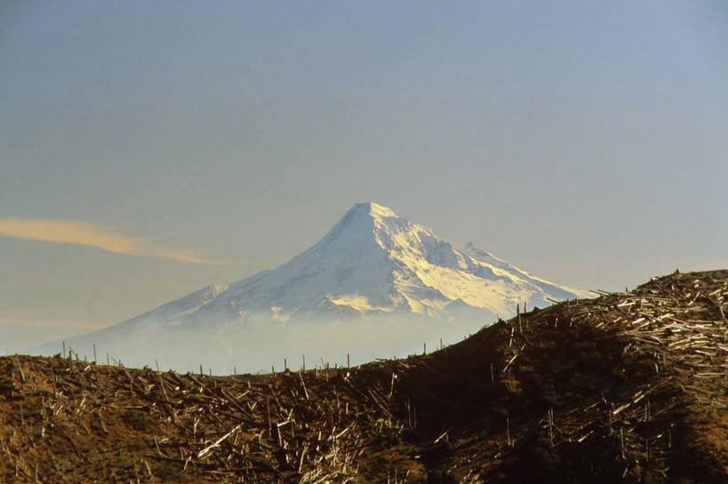 无人,横图,室外,白天,旅游,度假,火山,美景,森林,山,雪,雾,华盛顿,美国,对称,圆锥,冰,景观,山顶,树皮,枝,自然灾害,娱乐,树,蓝色,天空,自然,享受,休闲,景色,放松,摄影,腐烂,北美,北美洲,自然风光,美洲,毁灭,冰河,反差,俄勒冈州,华盛顿州,卡斯基德山脉,常绿之州,常青州,北亚美利加洲,亚美利加洲,彩图,斯卡梅尼亚县,美利坚合众国,圣海伦火山,爆炸物,环太平洋火山带