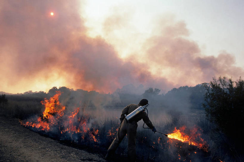 西方人,成年人,中年人,一个人,消防员,横图,室外,白天,热情,太阳,火,欧洲,美国,欧洲人,仅一个男性,仅一个人,仅一个中年男性,工作,火焰,燃烧,热,草,烟,摄影,火灾,灾难,维吉尼亚,劫难,磨难,灾祸,维吉尼亚海滩,男人,男性,中年男性,白种人,彩图,灾害,喷火器
