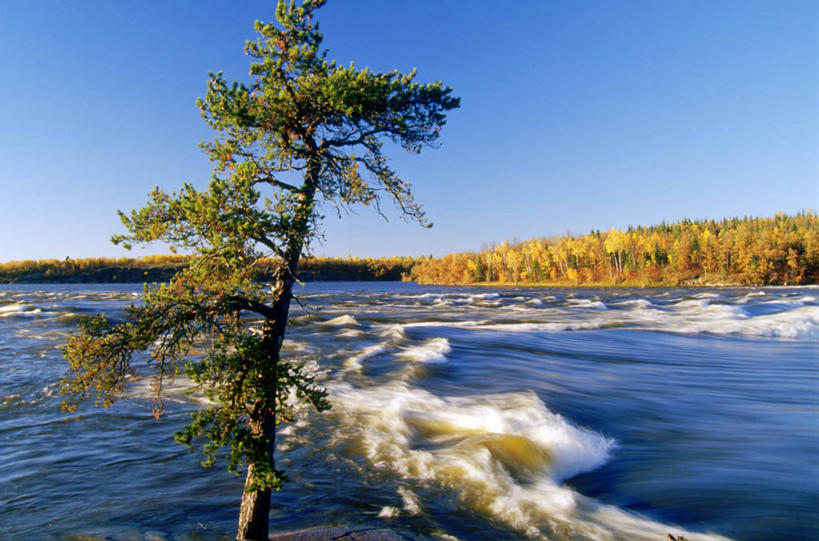 无人,横图,室外,白天,正面,旅游,度假,湖,湖泊,美景,秋季,森林,树林,水,植物,加拿大,阴影,光线,影子,湖面,景观,水流,水面,娱乐,树,树木,蓝色,绿色,蓝天,天空,阳光,自然,湖水,天,享受,休闲,景色,放松,生长,晴朗,成长,北美,北美洲,自然风光,美洲,万里无云,北亚美利加洲,亚美利加洲,马尼托巴,马尼托巴省,曼尼托巴省,晴空,晴空万里,秋,秋天,彩图,曼省,缅尼托巴省,缅省