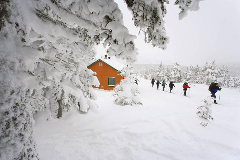 西方人,家,走,横图,室外,白天,正面,旅游,度假,美景,森林,树林,雪,植物,大雪,欧洲,加拿大,欧洲人,行人,游客,游人,阴影,光线,影子,房屋,屋子,积雪,景观,雪景,冬季,冬天,许多人,娱乐,设备,楼房,路人,旅客,住宅,树,树木,绿色,阳光,自然,一群人,享受,休闲,景色,放松,寒冷,生长,成长,北美,北美洲,自然风光,美洲,装备,北亚美利加洲,亚美利加洲,严寒,配备,过客,男人,男性,年轻男性,年轻女性,女人,女性,白种人,步行,散步,走路,彩图,全身,房子,盖斯佩半岛