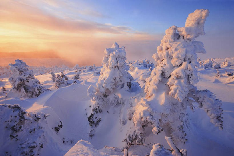 无人,横图,俯视,室外,白天,旅游,度假,美景,森林,树林,雪,植物,大雪,加拿大,阴影,光线,影子,积雪,景观,雪景,云,云朵,冬季,冬天,云彩,娱乐,树,树木,蓝色,绿色,白云,蓝天,天空,阳光,自然,天,享受,休闲,景色,放松,寒冷,生长,成长,北美,北美洲,自然风光,美洲,北亚美利加洲,亚美利加洲,严寒,魁北克省,彩图,高角度拍摄,盖斯佩半岛,古壁省,魁省