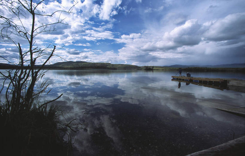 西方人,一个人,站,横图,室外,白天,仰视,旅游,度假,安全,湖,湖泊,美景,水,植物,欧洲,加拿大,欧洲人,仅一个年轻女性,仅一个女性,仅一个人,阴影,服装,平静,光线,木板,影子,湖面,景观,水流,水面,云,云朵,桥,枝条,木桥,云彩,注视,休闲装,娱乐,栈桥,树,树木,树枝,衣服,蓝色,绿色,白云,倒影,蓝天,天空,阳光,自然,湖水,天,观察,看,站着,享受,休闲,休闲服,景色,放松,服饰,生长,晴朗,成长,观看,人行桥,木板桥,宁静,察看,倒映,北美,北美洲,关注,自然风光,美洲,和平,安详,北亚美利加洲,亚美利加洲,太平,安适,育空,育空地区,安好,宁靖,反照,虬枝,枝杈,年轻女性,女人,女性,白种人,晴空,站立,彩图,低角度拍摄,全身