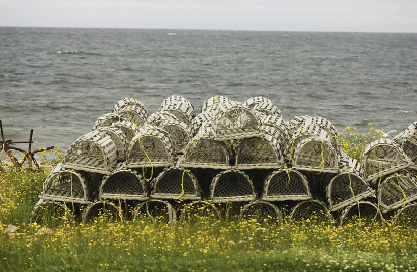 无人,花园,交叉,横图,俯视,室外,白天,旅游,度假,海浪,海洋,花圃,美景,竹子,纽约,美国,一排,许多,阴影,竹制,整齐,编织,光线,篮子,影子,景观,浪花,很多,娱乐,排列,阳光,自然,海水,竹篮,享受,休闲,景色,放松,竹条,交织,北美,竹制品,北美洲,队列,自然风光,美洲,海景,纽约州,帝国之州,帝国州,北亚美利加洲,亚美利加洲,穿插,大海,风浪,海,海水的波动,近岸浪,涌浪,小花园,彩图,高角度拍摄