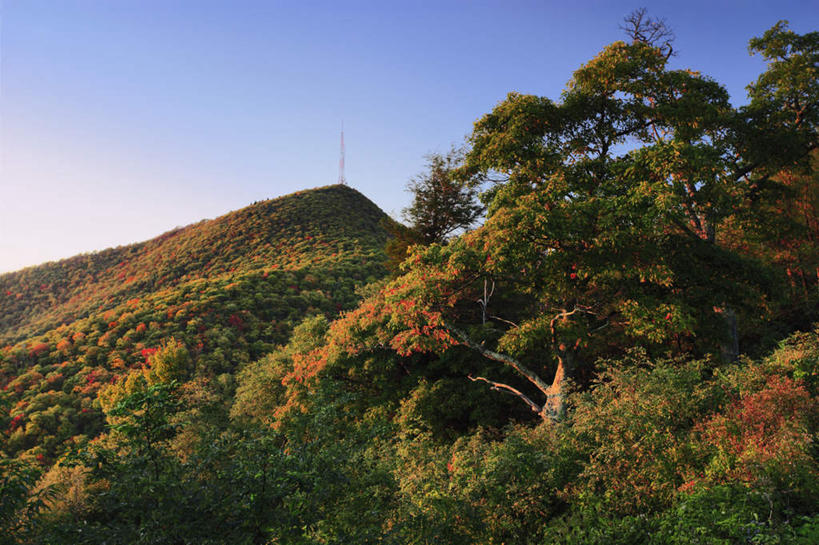 无人,横图,室外,白天,正面,旅游,度假,草地,草坪,美景,树林,植物,美国,阴影,光线,影子,景观,娱乐,草,树,树木,蓝色,绿色,蓝天,天空,阳光,自然,天,享受,休闲,景色,放松,生长,晴朗,成长,北美,北美洲,自然风光,美洲,万里无云,北卡罗来纳州,北亚美利加洲,亚美利加洲,北卡罗来纳,焦油脚根之州,黑油鞋根之州,老北州,晴空,晴空万里,彩图