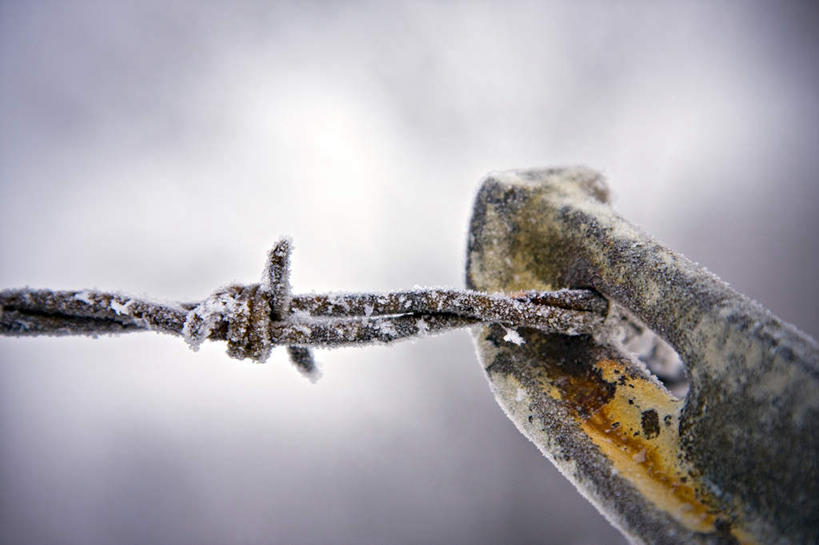 无人,栏杆,横图,室外,特写,白天,正面,旅游,度假,美景,雪,雾,大雪,加拿大,阴影,朦胧,模糊,光线,影子,积雪,景观,雪景,冬季,冬天,围栏,娱乐,护栏,阳光,自然,绳子,享受,休闲,景色,放松,寒冷,捆绑,绳索,迷雾,北美,北美洲,自然风光,美洲,省会,北亚美利加洲,亚美利加洲,严寒,绑缚,马尼托巴,马尼托巴省,曼尼托巴省,温尼伯,大雾,彩图