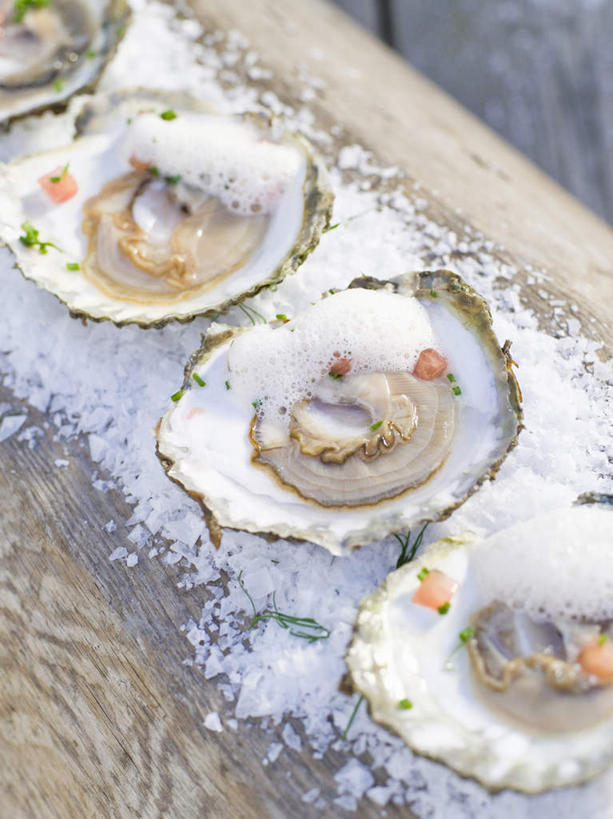 海鲜,无人,竖图,俯视,室外,特写,白天,一排,阴影,整齐,洒落,散落,光线,影子,调料,调味品,扇贝,调味料,水产,海洋生物,排列,三个,阳光,队列,水生动物,海产品,水生物,海底动物,彩图,高角度拍摄