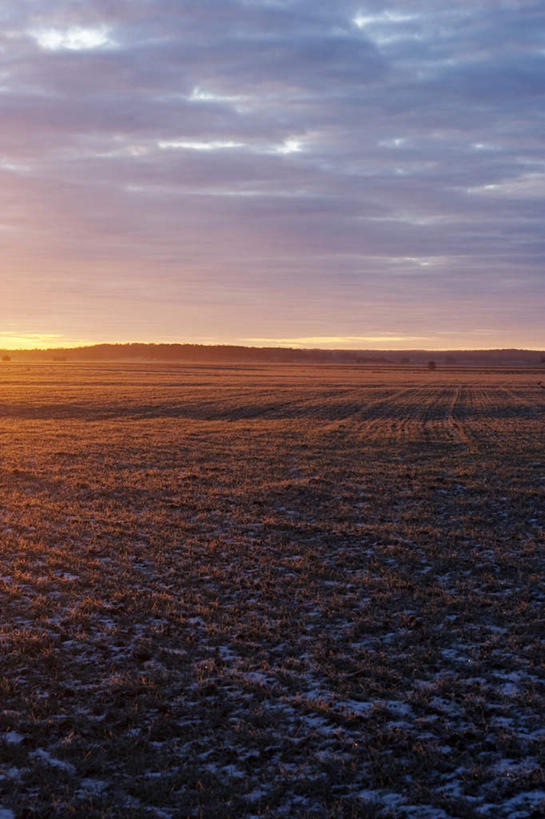 无人,农田,竖图,室外,白天,正面,旅游,度假,安全,庄稼,农作物,美景,日落,雪,大雪,瑞典,欧洲,平静,地平线,积雪,景观,晚霞,霞光,雪景,冬季,冬天,落日,辽阔,地面,娱乐,自然,黄昏,享受,休闲,广阔,景色,彩霞,放松,寒冷,宁静,一望无际,斯堪的纳维亚,自然风光,北欧,延伸,斯堪的纳维亚半岛,和平,安详,天地相交,严寒,太平,安适,瑞典王国,无边无际,一马平川,安好,宁靖,夕照,乌普萨拉省,夕阳,彩图,耕地,庄稼田,斜阳