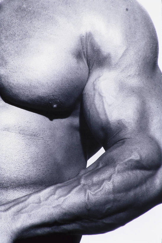 西方人,胸,肌肉,健壮,裸体,一个人,竖图,室内,特写,白天,白色背景,正面,欧洲,欧洲人,仅一个男性,仅一个人,仅一个年轻男性,健康,活力,力量,摄影,影棚,青春,强壮,赤身,男人,男性,年轻男性,白种人,手臂,胸部,半身,彩图,影棚拍摄,拍摄