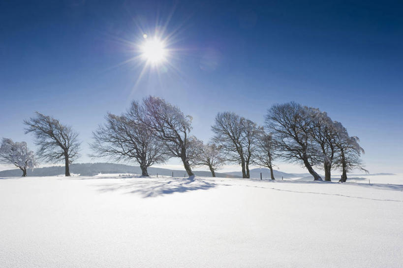 无人,横图,室外,白天,正面,美景,山,山脉,雪,植物,大雪,德国,欧洲,阴影,光线,影子,积雪,景观,山峰,雪景,冬季,冬天,山峦,树,树木,蓝色,绿色,蓝天,天空,阳光,自然,群山,天,景色,寒冷,生长,晴朗,成长,西欧,自然风光,万里无云,德意志联邦共和国,严寒,巴登.符腾堡,巴登.符腾堡州,巴符州,弗莱堡,弗赖堡,晴空,晴空万里,彩图