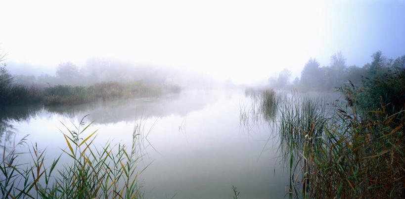 无人,横图,室外,白天,正面,旅游,度假,湖,湖泊,美景,水,植物,雾,芦苇,叶子,德国,欧洲,波纹,朦胧,模糊,湖面,景观,水流,水面,粽叶,绿叶,涟漪,娱乐,树,树木,绿色,倒影,水纹,自然,波浪,湖水,享受,休闲,嫩叶,景色,放松,生长,成长,迷雾,倒映,西欧,自然风光,德意志联邦共和国,水晕,箬叶,芦苇叶,巴伐利亚,巴伐利亚州,拜恩州,拜恩自由州,反照,叶,叶片,大雾,彩图