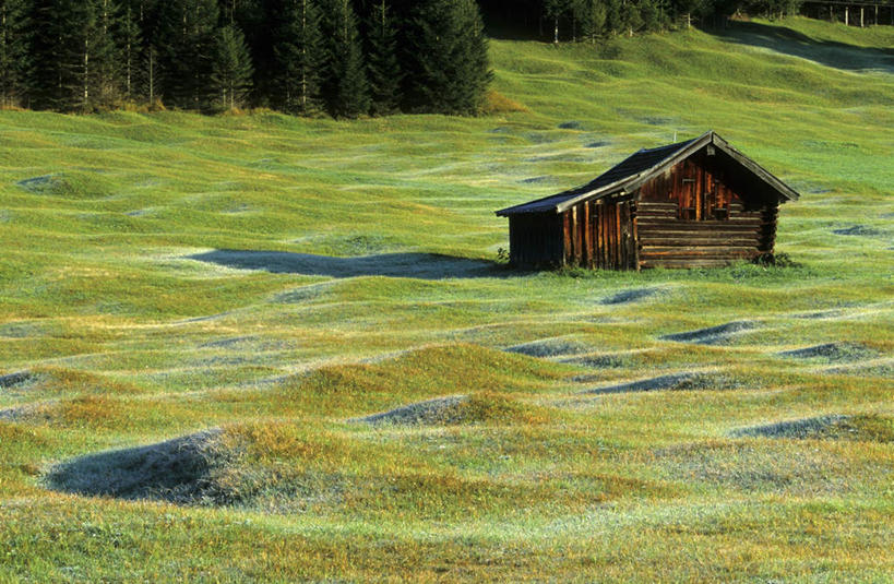 无人,家,木屋,横图,室外,白天,正面,旅游,度假,草地,草坪,美景,树林,植物,德国,欧洲,景观,辽阔,娱乐,住宅,草,树,树木,绿色,自然,享受,休闲,广阔,景色,放松,生长,成长,西欧,自然风光,德意志联邦共和国,巴伐利亚,巴伐利亚州,拜恩州,拜恩自由州,广大,广宽,空阔,一间,彩图,茅舍,茅屋,棚屋,小木屋,小屋