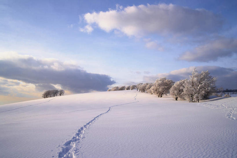 无人,横图,室外,白天,正面,美景,日落,雪,植物,大雪,德国,欧洲,脚印,阴影,光线,影子,积雪,景观,晚霞,霞光,雪景,云,云朵,冬季,冬天,落日,云彩,树,树木,蓝色,白色,白云,蓝天,天空,阳光,自然,黄昏,天,景色,彩霞,寒冷,生长,晴朗,成长,足迹,卫生,西欧,自然风光,纯真,德意志联邦共和国,严寒,洁净,行踪,脚迹,光明,恬静,中间色,朴素,清白,巴登.符腾堡,巴登.符腾堡州,巴符州,夕照,晴空,夕阳,彩图,斜阳