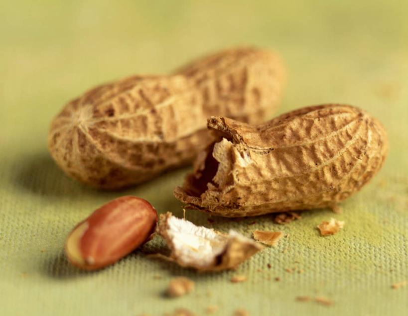 无人,横图,俯视,室内,特写,白天,植物,豆,花生,蔬菜,阴影,黄色背景,朦胧,模糊,新鲜,反射,影子,豆类,豆子,食品,坚果,食物,两个,拨开,摄影,长生果,有机食品,绿色食品,影棚,花生仁,豆科,落花生,落生,花生米,花生豆,彩图,高角度拍摄,影棚拍摄,拍摄