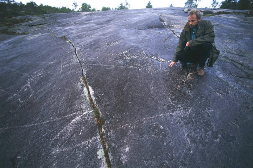 成年人,一个人,蹲,横图,室外,白天,挪威,仅一个男性,摄影,考古学,逆戟鲸,古代文明,美术工艺,史前时代,岩石,彩图,雕刻术