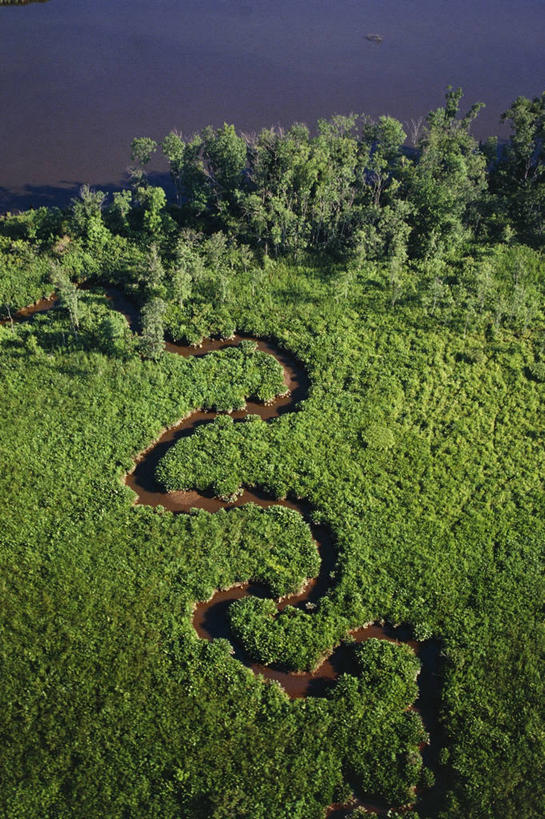 无人,竖图,俯视,室外,白天,旅游,度假,河流,美景,森林,美国,弯曲,地形,河岸,景观,娱乐,树,绿色,风景,自然,享受,休闲,景色,放松,摄影,宁静,自然风光,俄亥俄州,维吉尼亚,彩图,高角度拍摄,九曲十八弯