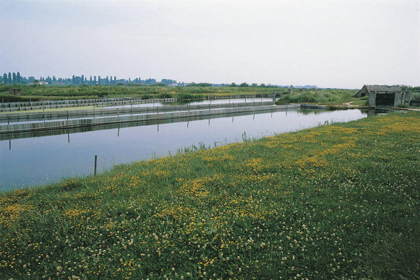 无人,横图,室外,白天,河流,意大利,欧洲,反射,地平线,地形,流水,辽阔,地面,图像,草,风景,自然,概念,广阔,摄影,宁静,一望无际,地中海文化,南欧,延伸,主题,意大利共和国,天地相交,构图,无边无际,一马平川,艾米利亚.罗马涅,艾米利亚.罗马涅大区,自然地理,彩图,旅行,时空,传统文化,波河