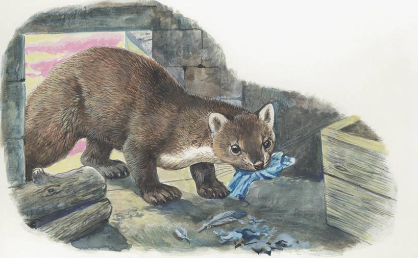 无人,吃,横图,插画,室外,特写,白天,数码,科技,森林,树林,哺乳动物,野生动物,羽毛,阴影,科学,网络,鸟类,高光,几何,计算机图形,合成,图像,图画,拿着,画,动物,生物,电脑合成图,数码合成图,生物学,合成图,主题,杂食动物,漫画,计算机制图,写实,具体,具象,构图,触摸,彩图,时空,石貂,动物学,脊椎动物亚门