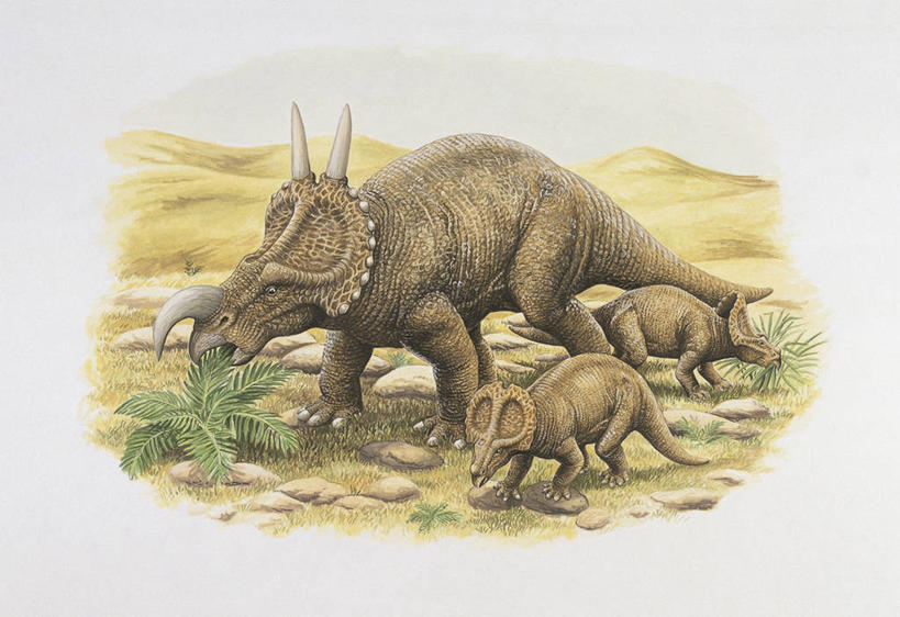 无人,吃,横图,插画,室外,侧面,旅游,度假,数码,科技,美景,植物,野生动物,三只,阴影,网络,地形,景观,高光,几何,计算机图形,合成,图像,图画,历史,娱乐,画,自然,动物,享受,休闲,概念,生物,景色,放松,恐龙,电脑合成图,数码合成图,生物学,合成图,自然风光,主题,自然现象,漫画,视角,计算机制图,写实,具体,具象,构图,古代史,地质学,史前时代,岩石,彩图,时空,野牛龙,动物学,白垩系,过去,古生物学,脊椎动物亚门