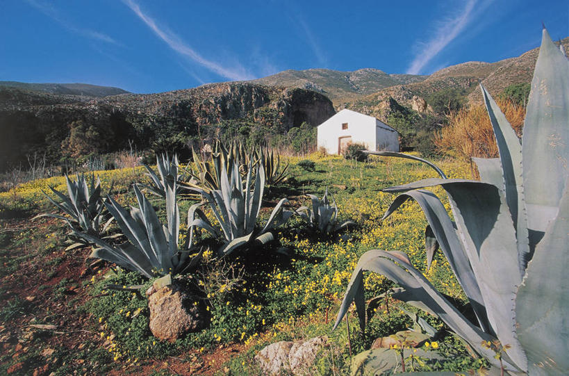 无人,横图,室外,白天,旅游,度假,美景,山,建筑,意大利,欧洲,景观,云,娱乐,天空,自然,享受,休闲,景色,放松,摄影,生长,西西里,地中海文化,自然风光,意大利文化,彩图,圣维托洛卡波