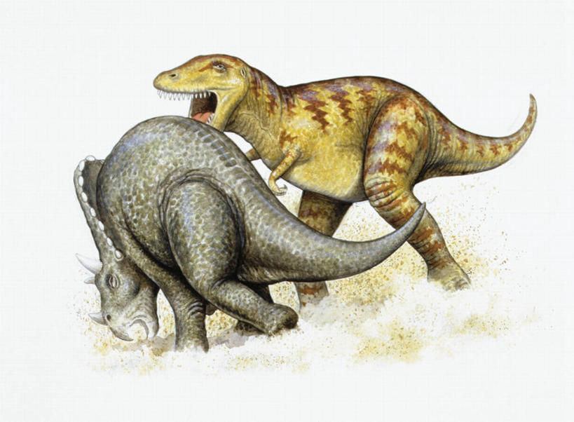 无人,站,横图,插画,数码,科技,野生动物,对抗,咬,阴影,冲突,网络,捕食,高光,几何,计算机图形,合成,图画,历史,画,自然,动物,两只,恐龙,环境,灰尘,电脑合成图,数码合成图,咬着,暴力,合成图,进攻,漫画,写实,具体,具象,三角龙,古代史,地质学,史前时代,彩图,中生代,白垩系,过去,古生物学