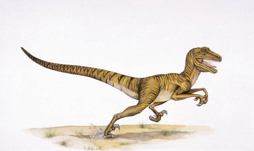 无人,跑,横图,插画,侧面,数码,科技,野生动物,阴影,网络,高光,几何,计算机图形,合成,图画,历史,画,动物,恐龙,电脑合成图,数码合成图,合成图,漫画,写实,具体,具象,古代史,地质学,史前时代,恐爪龙,彩图,中生代,白垩系,过去,古生物学