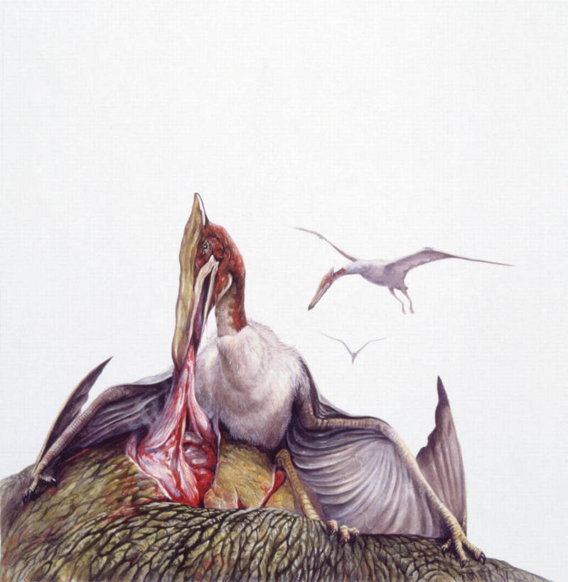 无人,吃,竖图,方图,插画,白色背景,数码,科技,野生动物,三只,阴影,网络,鸟类,爬行动物,高光,几何,计算机图形,合成,图画,历史,画,白色,自然,恐龙,环境,电脑合成图,数码合成图,合成图,脊椎动物,漫画,写实,具体,具象,灭尽,灭绝,史前动物,古代史,地质学,翼龙,史前时代,彩图,中生代,白垩系,过去,古生物学